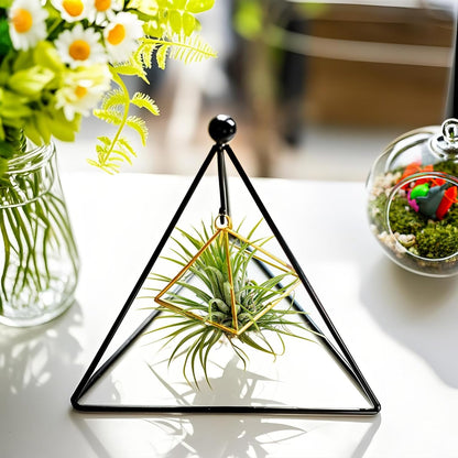 HDSPKCRYS 3 Pack Metal Triangle Hanging Hook Stands Modern Display Stands Hanging Hook for Indoor Outdoor Use Succulents Air Plants Home Decor